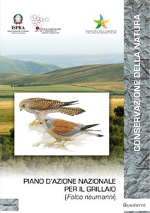 Piano d’azione nazionale per il Grillaio (Falco naumanni)
