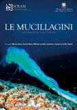 Le Mucillagini nell'Adriatico e nel Tirreno