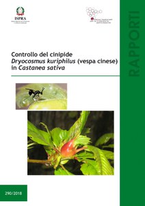 Controllo del cinipide Dryocosmus kuriphilus (vespa cinese) in Castanea sativa