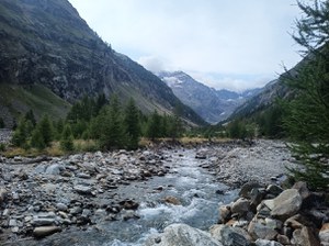 Valutazione Ambientale Strategica