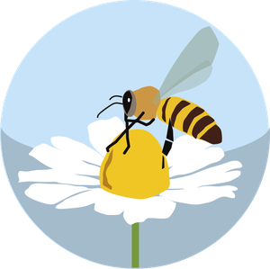 Art.10 - Ripristino delle popolazioni di impollinatori