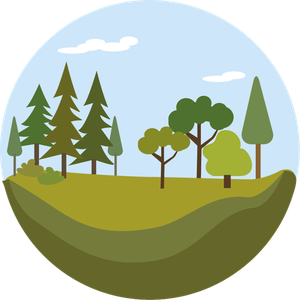 Art.12 - Ripristino degli ecosistemi forestali