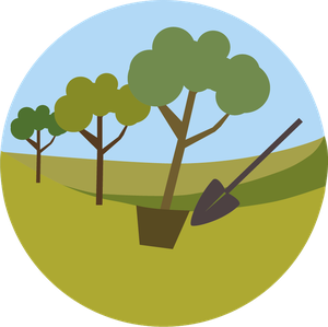 Art.13 - Messa a dimora di tre miliardi di nuovi alberi