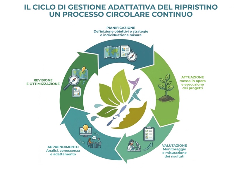 ciclo di gestione adattativa ciclo di gestione adattativa