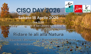 Ridare le ali alla natura