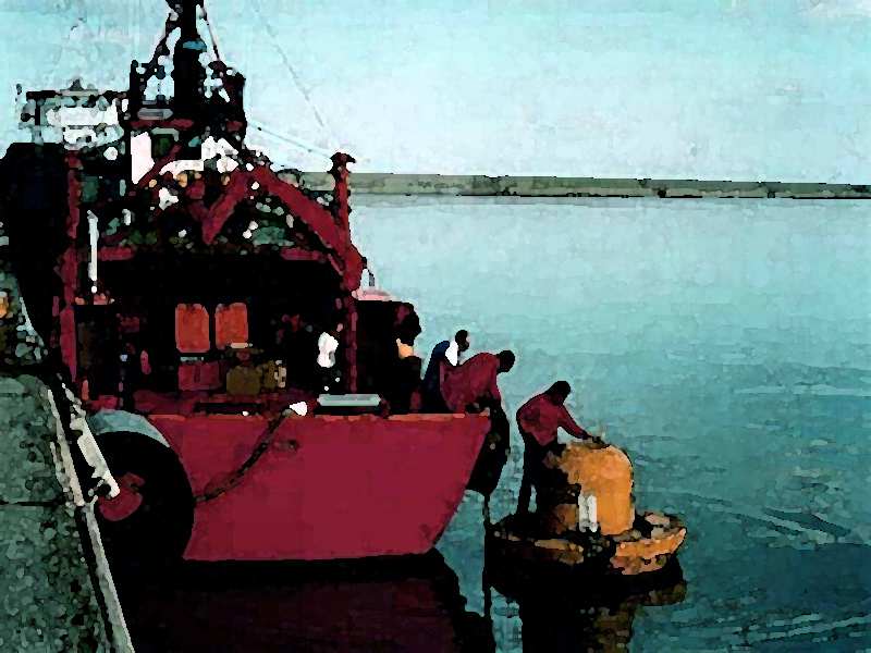 old wind-waves buoy manteinance