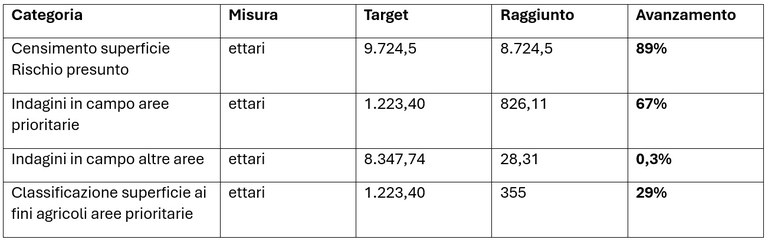 stato di attuazione delle diverse attività