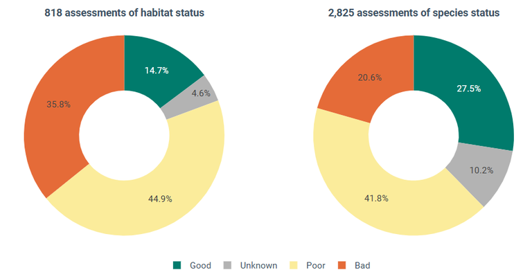 stato di conservazione