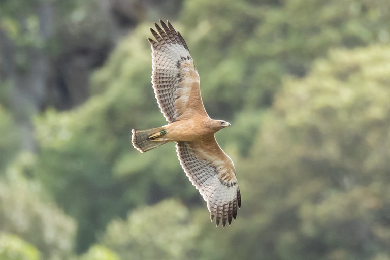  Foto Alberto Álvarez